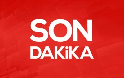 Erdoğan: Yeni anayasa için adaylık endişem yok