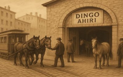 Burası da Dingo’nun Ahırı Mı?