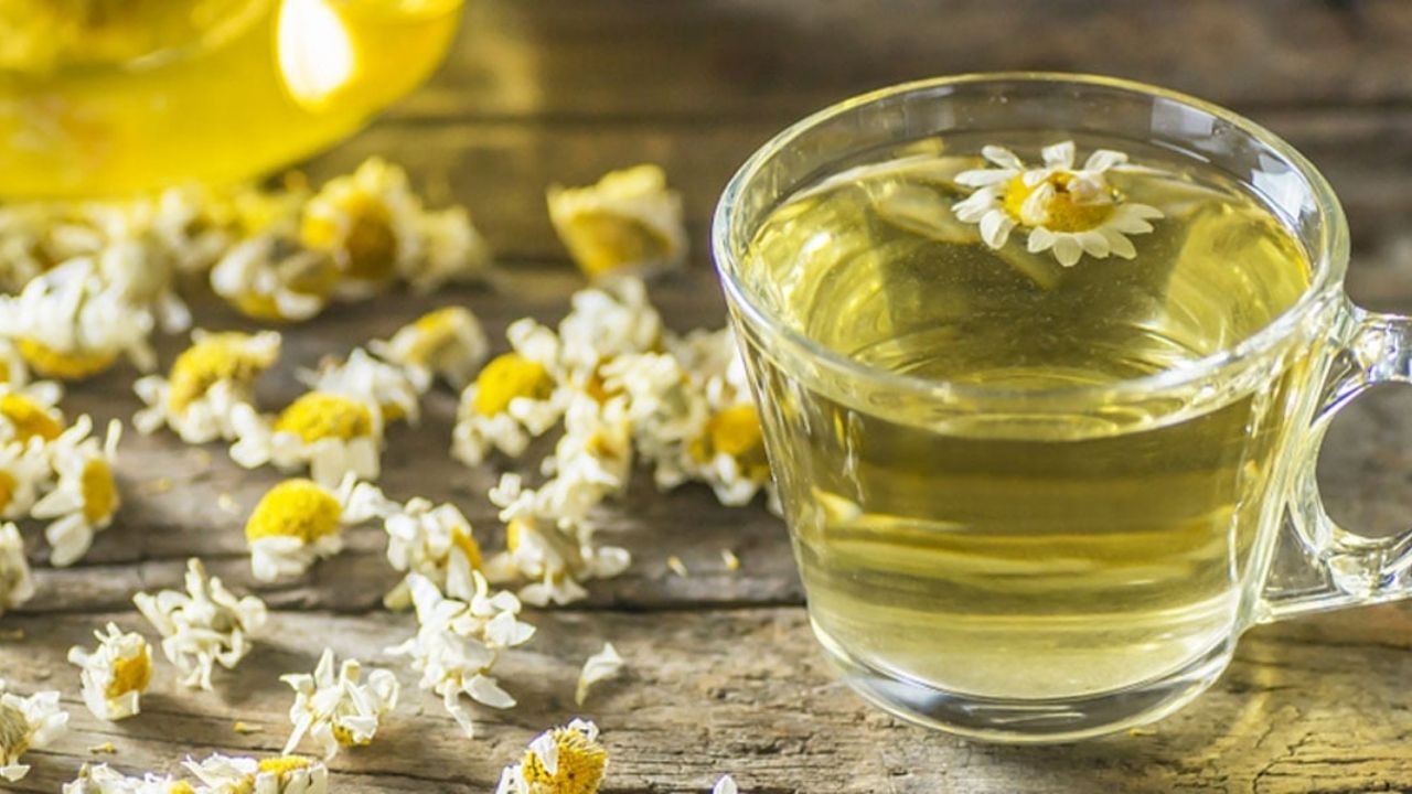 Papatya Çayı Faydaları, Kullanımı ve Geleneksel Önemi
