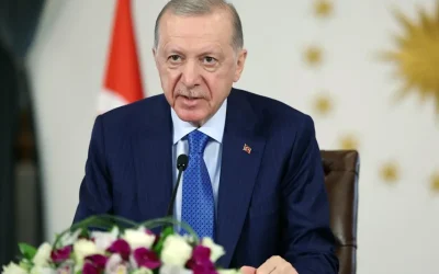Erdoğan’ın diplomasıyla ilgili iddialara DMMD’den yalanlama