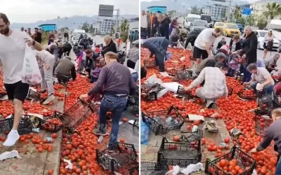 Türkiye’de Domates Yüklü Tır Devrildi, Vatandaşlar Olay Yerine Koştu