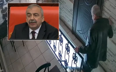 Süreyya Önder zorlanarak inerken görüntülendi