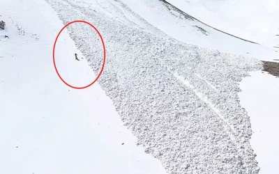 Kayakçı çığ altında kaldı, 60 metre sürüklendi!