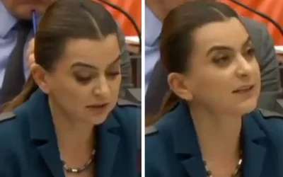 DEMY Partili Koçyiğit Kürtçe konuşurken mikrofonu kapatıldı