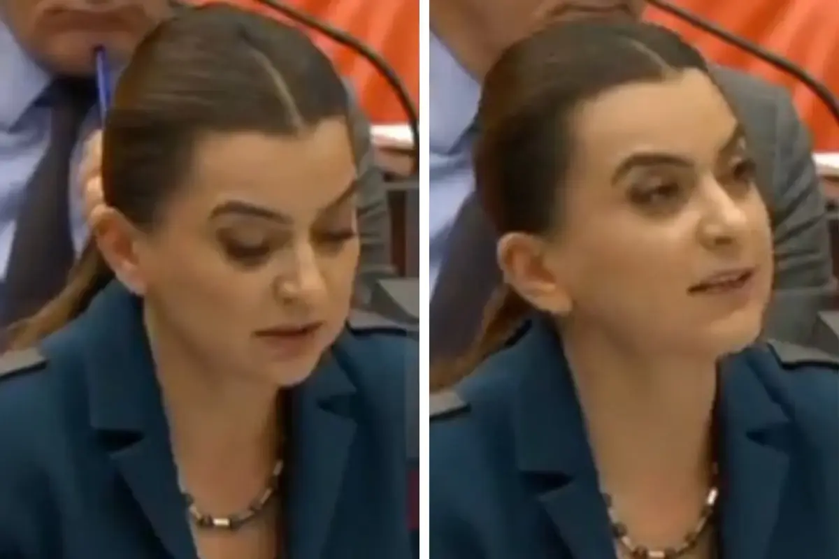 dem-partili-kocyigit-kurtce-konustugu-sirada-18634971_7059_amp.jpg