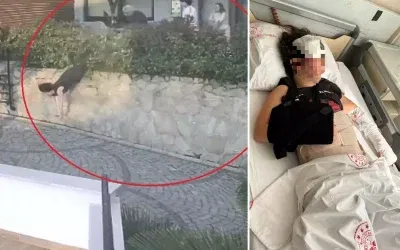 Komşu kavgası kanlı bitti, kadın ağır yaralandı