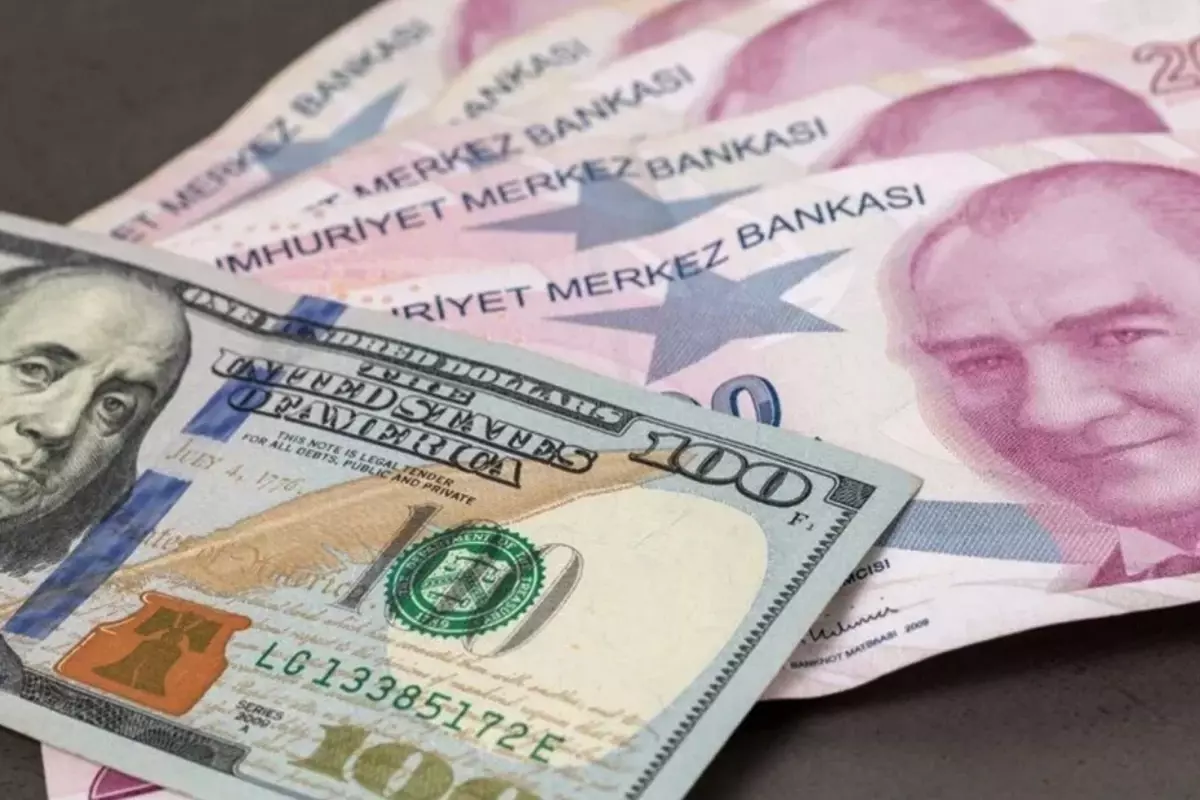 merkez-bankasi-nin-yil-sonu-dolar-ve-enflasyon-18750501_5479_amp.jpg