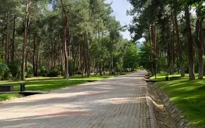Parkta oturan genç kızları taciz eden şahıs yakalandı