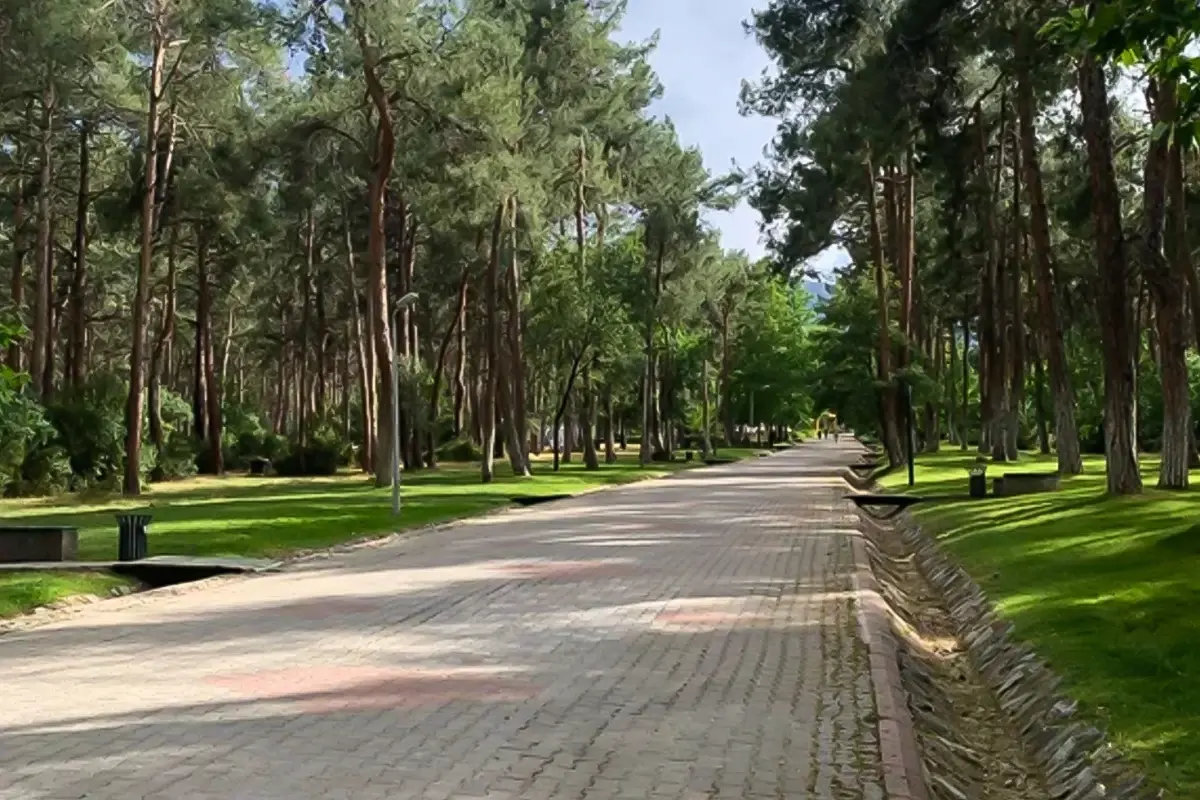 parkta-oturan-genc-kizlari-once-takip-sonra-taciz-18796407_6681_amp.jpg