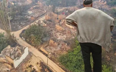 Sakarya’dan Bilecik’e Sıçrayan Yangında Köy Kül Oldu