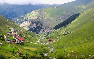 Trabzon yaylasında 75 kişi kayboldu