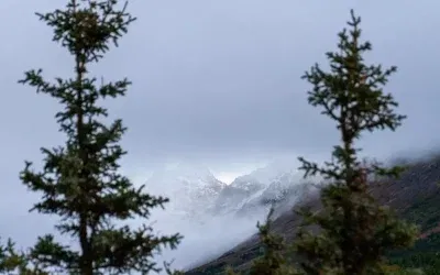 Alaska’da Uyuyan Yanardağ 100 Yıl Sonra Uyanıyor mu?