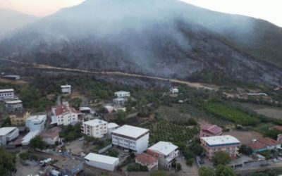 Bursa’daki Orman Yangını Büyük Ölçüde Kontrol Altına Alındı: 3 İlçede Büyük Tahribat