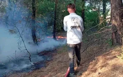 Amasya’da Orman Yangını: 10 Dekarlık Alan Kül Oldu