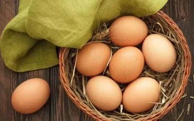 Bakanlıktan: Yumurta İhracatında Kesinti Kaldırıldı