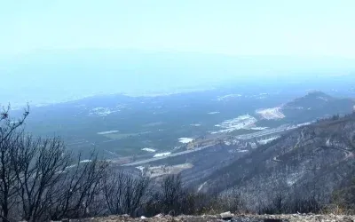 Orman yangınlarından sonra solunum şikayetleriyle hastanelere başvurular arttı