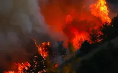 Eskişehir Orman Yangınında Şehit Olan 19 İşçi ve 5 AKUT Mensubunun Kimlikleri Açıklandı mı?