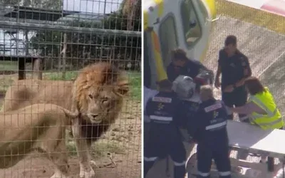Aslan saldırısında kadın kolunu kaybetti