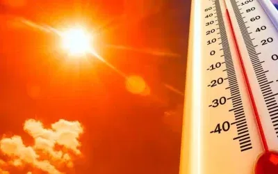 İstanbul’da 50 derece hissedilen sıcaklıkların nem etkisi