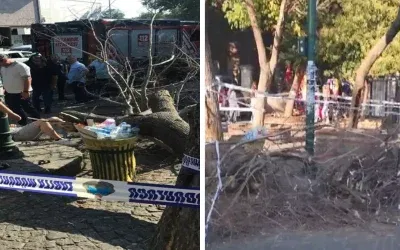 İstanbul’da rüzgarın devirdiği ağaç 3 kişiyi yaraladı