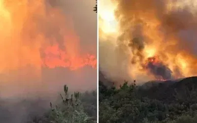 Sakarya’da orman yangını! Mahalle boşaltıldı.