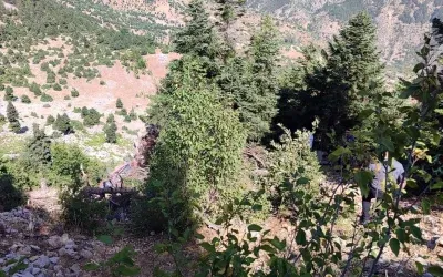 Adana’da Kaza Sonucu Hayatını Kaybeden Sürücü ve Yolcu