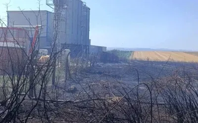Edirne’de Anız Yangını Kontrol Altında