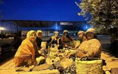 Sema Silkin: Üzüm Üreticilerinin Sorunlarına Işık Tutuyor