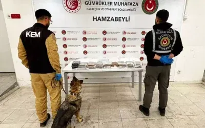 Türkiye’de Uyuşturucu Kaçakçılığı: Esrar ve Metamfetamin Artıyor