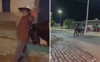 Sarhoş Adam, Boğasını Buldu ve Eve Götürdü!
