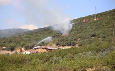 Kocaeli’de Ot Yangını Ormana Sıçradı, Kontrol Edildi