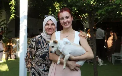 Kangal Köpekleri Şivava’ya Saldırdı: Kadın Yaralandı