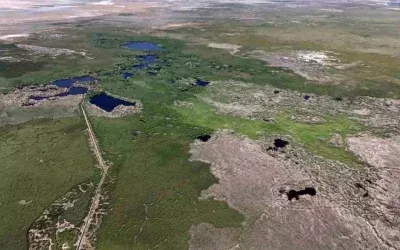 Sultan Sazlığı’nda Kuraklık Tehlikesi: Kuş Cenneti Su Kıtlığından Zarar Görüyor