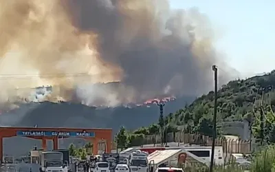 Suriye’den sıçrayan orman yangını Türkiye’yi tehdit ediyor