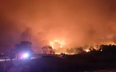 Karacabey’de Orman Yangını Kontrol Altında