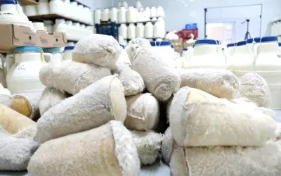 Erzincan Tulum Peyniri: Geleneksel Üretim Süreci