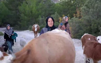 Kastamonu’daki Yangın Sonrası Köylüler Tedirgin Ama Evlerine Dönüyor