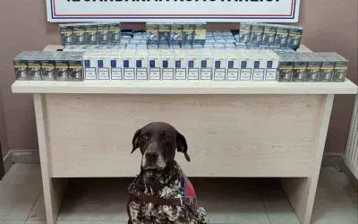 Kayseri’de Bandrolsüz 640 Paket Sigara Yakalandı