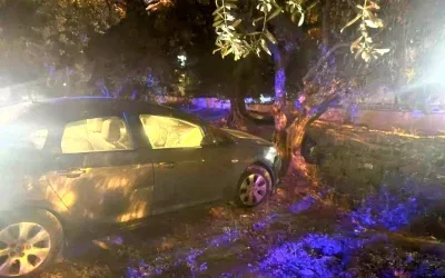 Erdek’te Kontrolden Çıkan Otomobil Zeytin Bahçesine Dalış Yaptı: 1 Yaralı