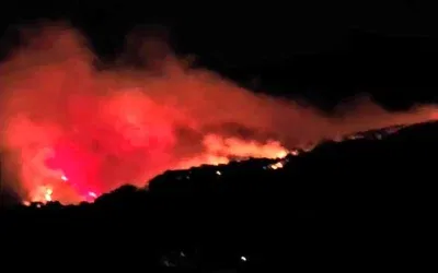 Köyceğiz’deki Orman Yangınına Acil Müdahale Devam Ediyor