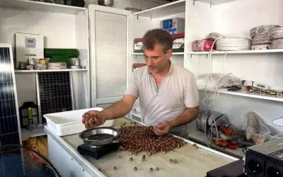 Fındık Rekoltesindeki Düşüş Fiyatları Arttı