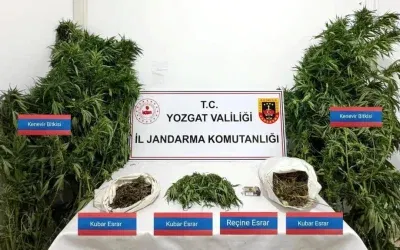 Yozgat’ta Kenevir Baskını: 4 Tutuklama