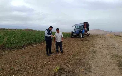 Vezirköprü’de Şeker Pancarı Hasadı Başladı