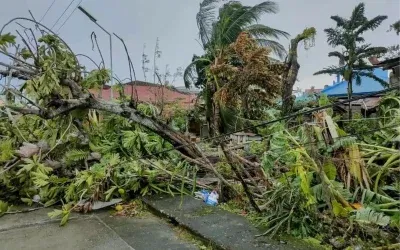 Vietnam’da Bualoi Tayfunu: 250 Bin Kişi Tahliye Ediliyor
