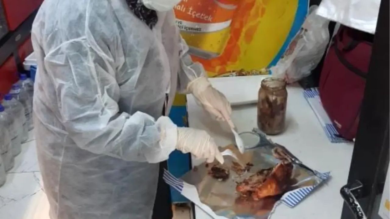 Bilecik'te Gıda Denetimleri Devam Ediyor
