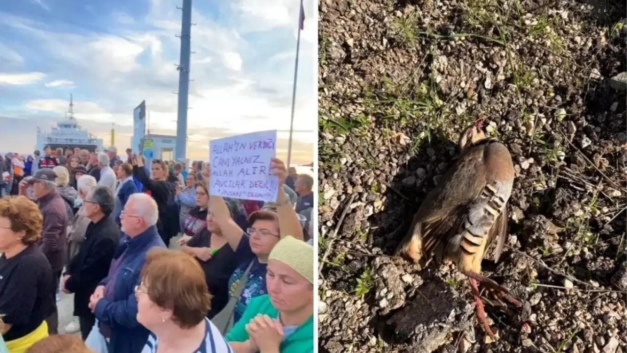 Paşalimanı Adası'nda Keklik Avına Karşı Protesto