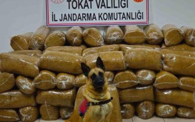 Tokat’ta 450 Kg Kaçak Tütün Yakalandı