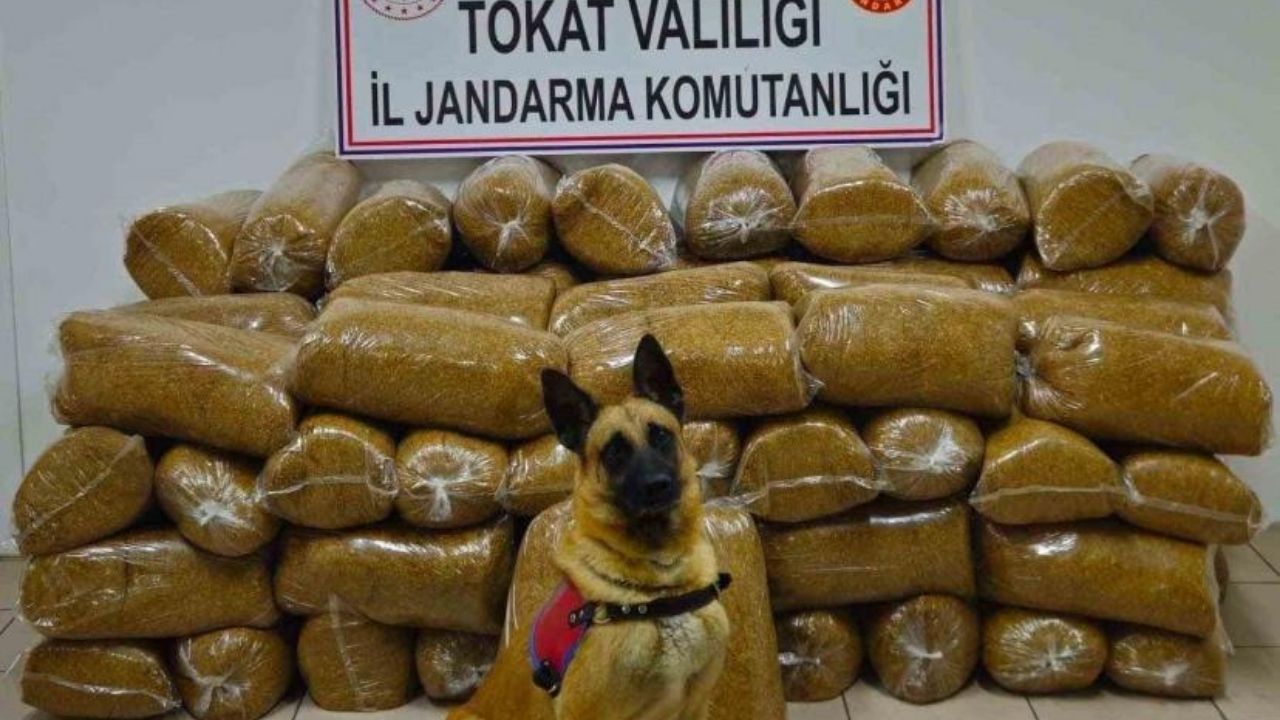 Tokat'ta 450 Kg Kaçak Tütün Yakalandı