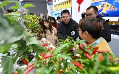 Çin Yangling Tarım Yüksek Teknoloji Fuarı Açıldı