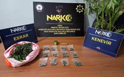 Ordu’da Uyuşturucu Operasyonunda 2 Tutuklama